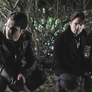 Bilder Nikita (2010)