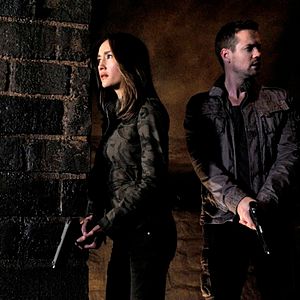 Bilder Nikita (2010)