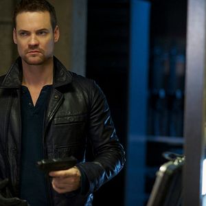 Bilder Nikita (2010)