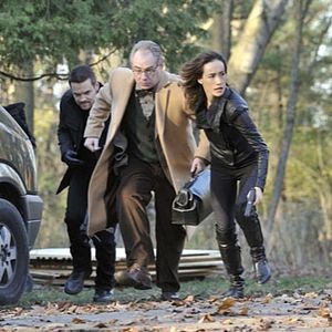 Bilder Nikita (2010)