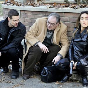 Bilder Nikita (2010)