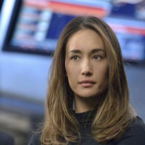 Bilder Nikita (2010)