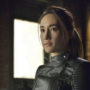 Bilder Nikita (2010)