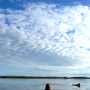 Bilder White Night Wedding