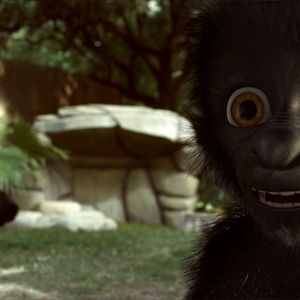 Bilder Flöckchen - Die großen Abenteuer des kleinen weißen Gorillas!