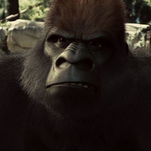 Bilder Flöckchen - Die großen Abenteuer des kleinen weißen Gorillas!