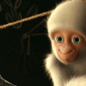 Bilder Flöckchen - Die großen Abenteuer des kleinen weißen Gorillas!