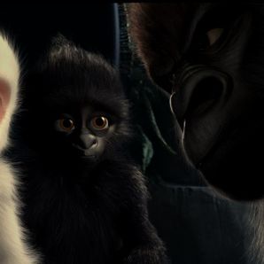 Bilder Flöckchen - Die großen Abenteuer des kleinen weißen Gorillas!