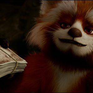 Bilder Flöckchen - Die großen Abenteuer des kleinen weißen Gorillas!