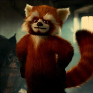 Bilder Flöckchen - Die großen Abenteuer des kleinen weißen Gorillas!