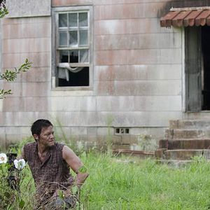 Bilder The Walking Dead