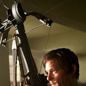Bilder Norman Reedus