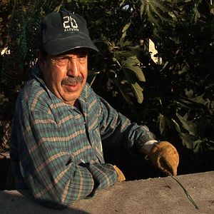 Bilder Terre d'usage