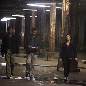 Bilder Lauren Hodges