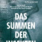 Bilder Das Summen der Insekten