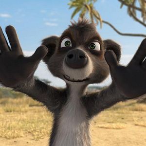 Bilder Konferenz der Tiere