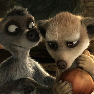 Bilder Konferenz der Tiere