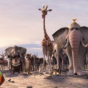 Bilder Konferenz der Tiere