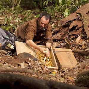 Bilder 600 Kilo pures Gold!