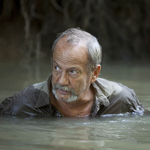 Bilder 600 Kilo pures Gold!