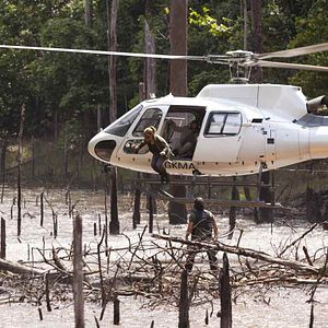 Bilder 600 Kilo pures Gold!