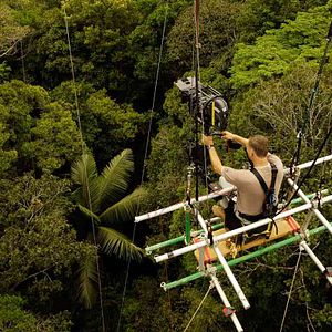 Bilder 600 Kilo pures Gold!