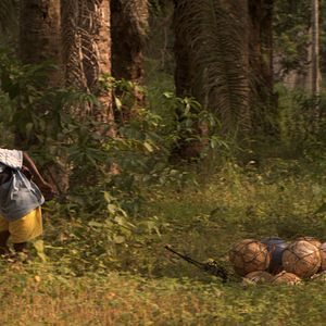 Bilder Pascale Lamche