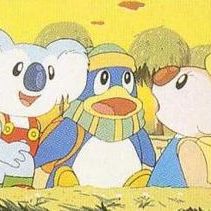 Bilder Koala Boy Kokki