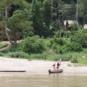 Bilder Dschungelkind