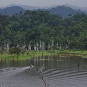 Bilder Dschungelkind