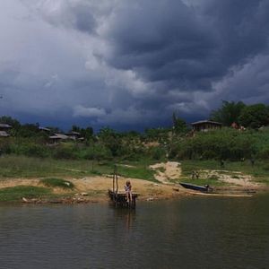 Bilder Dschungelkind