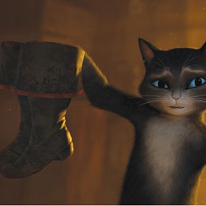 Bilder Der gestiefelte Kater