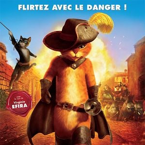 Bilder Der gestiefelte Kater