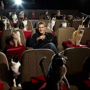 Bilder Antonio Banderas