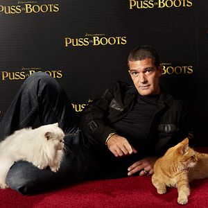 Bilder Antonio Banderas