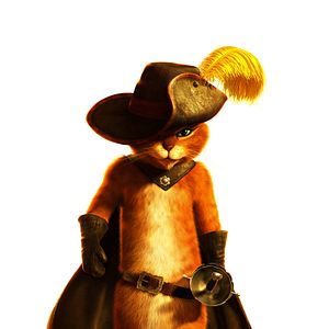 Bilder Der gestiefelte Kater