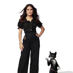 Bilder Der gestiefelte Kater