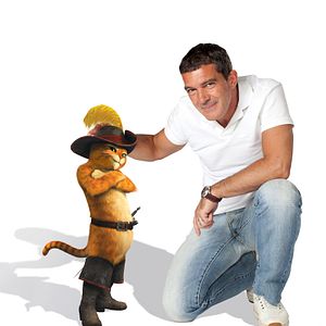 Bilder Der gestiefelte Kater