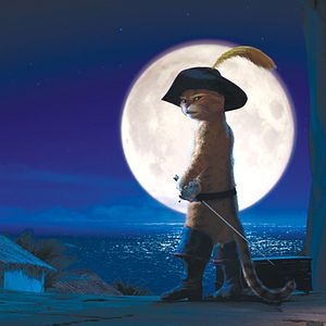 Bilder Der gestiefelte Kater