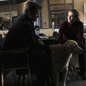 Bilder Nathan Fillion