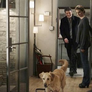 Bilder Nathan Fillion