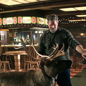 Bilder Abraham Benrubi