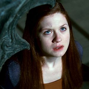 Bilder Harry Potter und die Heiligtümer des Todes - Teil 2