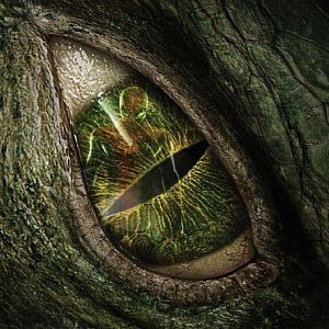 Bilder The Amazing Spider-Man