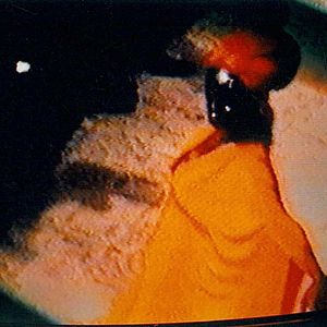 Bilder Vincent Navarro