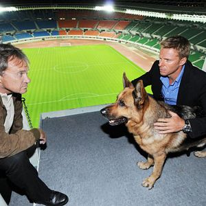 Bilder Kommissar Rex