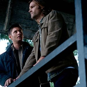 Bilder Jensen Ackles