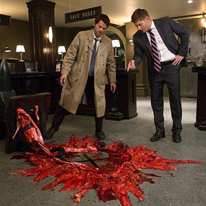 Bilder Misha Collins