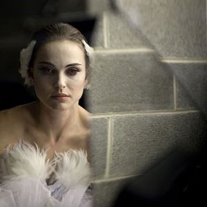 Bilder Black Swan