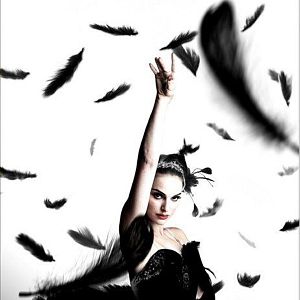Bilder Black Swan